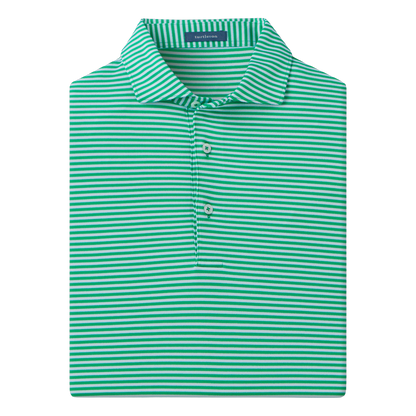 MS24K20.Turtle:Large.TCP