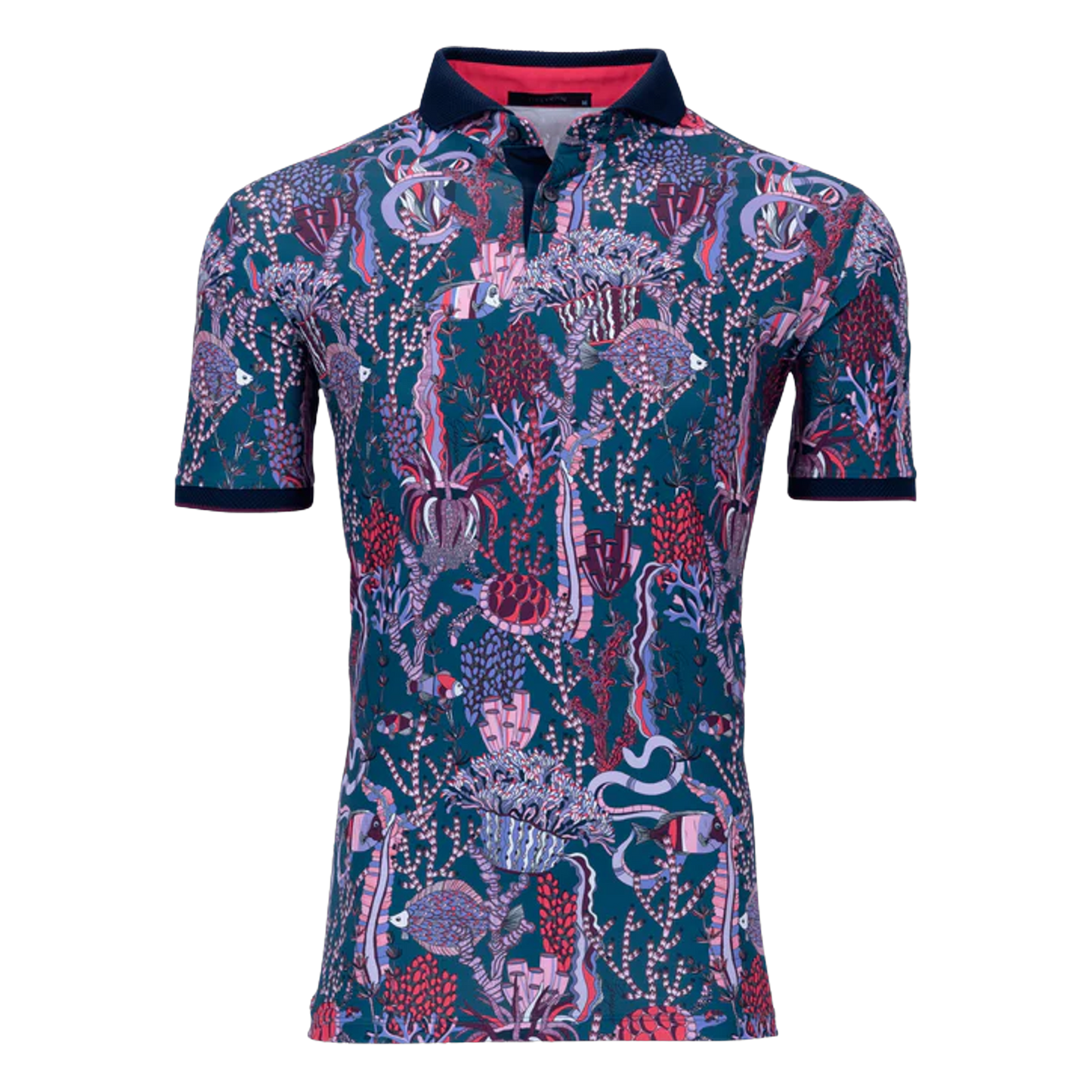 MSP24K16.Sea Turtle:Large.TCP